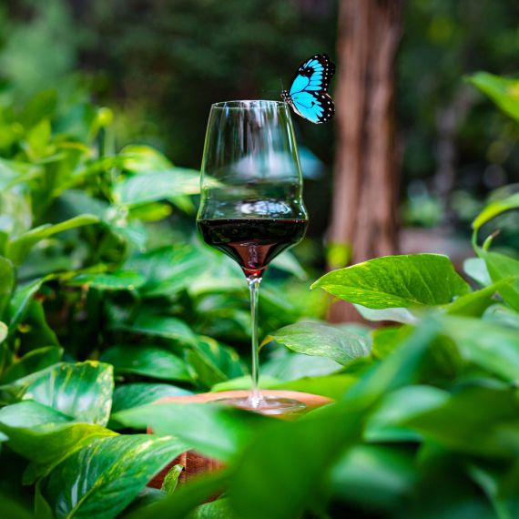 Набор из 2-х бокалов для Бордо серия Cocoon 746 мл, D105 мм, H259 мм, Stolzle, изображение 7