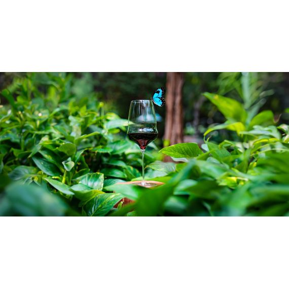 Набор из 6-ти бокалов для Бордо серия Cocoon 746 мл, D105 мм, H259 мм, Stolzle, изображение 9