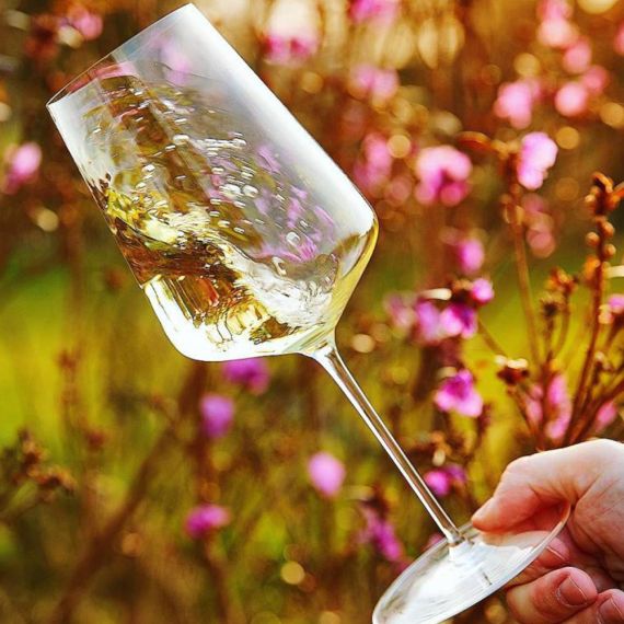 Набор из 6-ти бокалов для вина универсальные Universal, 550 мл, Zalto, изображение 5